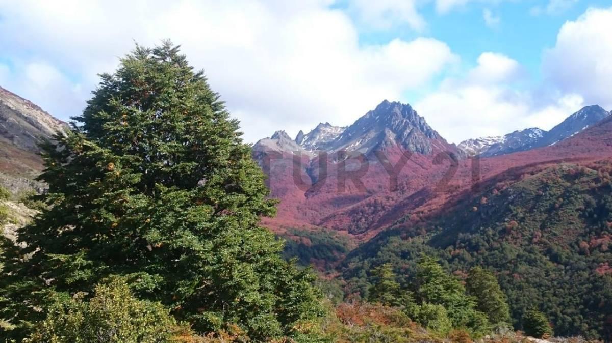 Foto de CAMPO - HUT DE INVERSION MULTIPROPOSITO EN CONCORVADO (CHUBUT), imagen 2