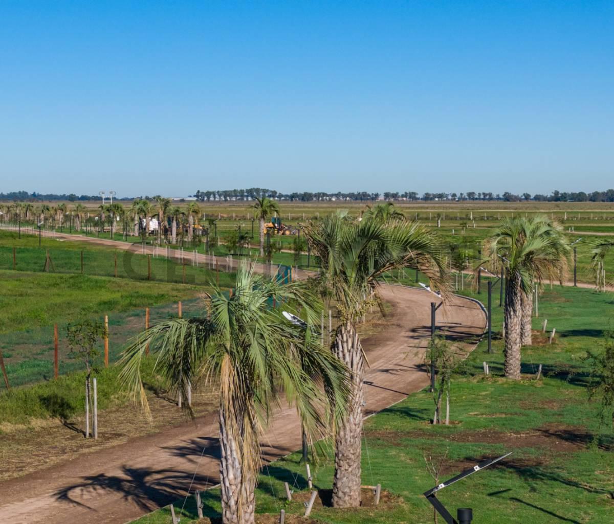 Foto de VENTA LOTE CINCO LAGOS - IBARLUCEA, imagen 5