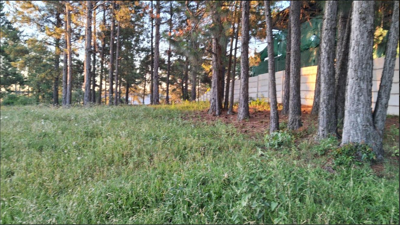 Foto de Excepcional Terreno sobre Av. Pte. Illia, imagen 4