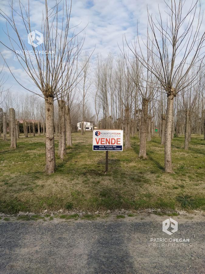 Terreno - General Belgrano
