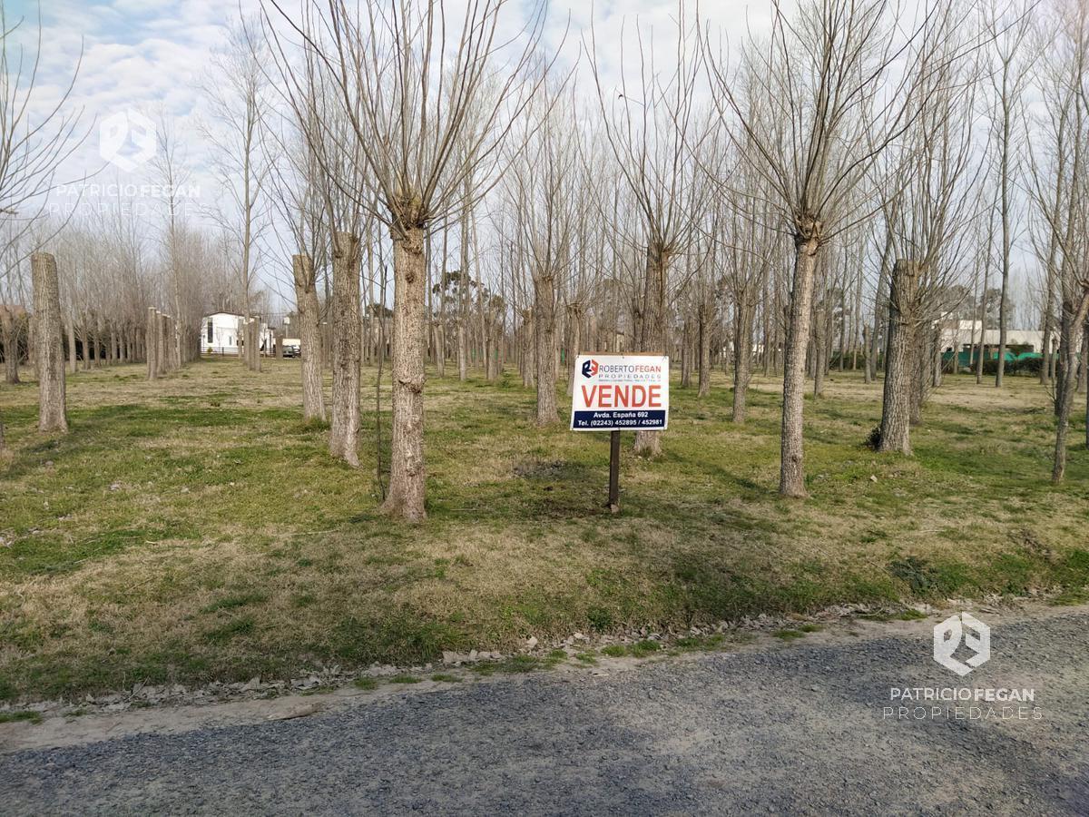 Foto de Terreno - General Belgrano, imagen 2