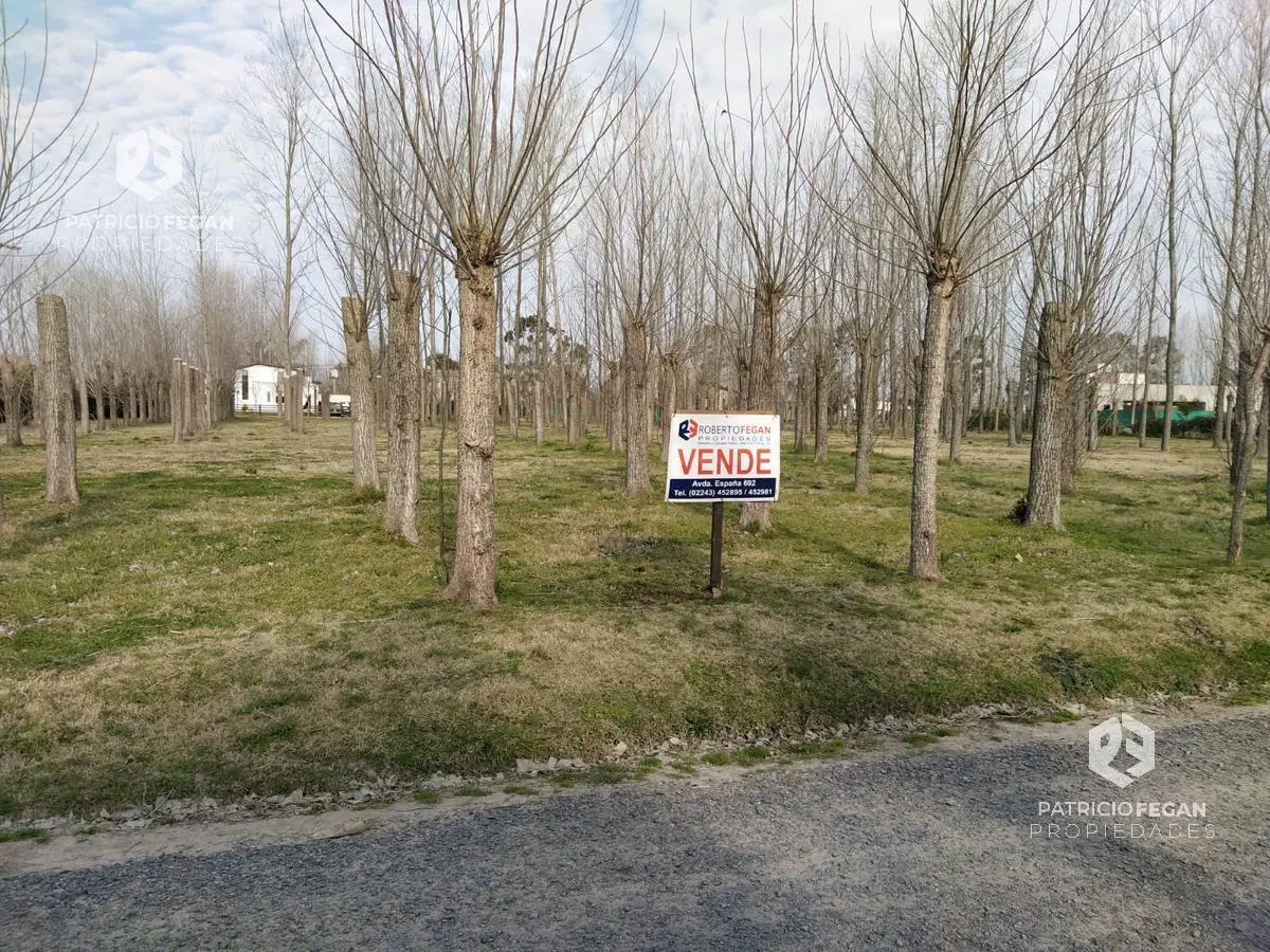 Terreno - General Belgrano 2
