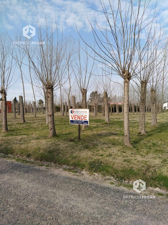 Foto de Terreno - General Belgrano, imagen 3