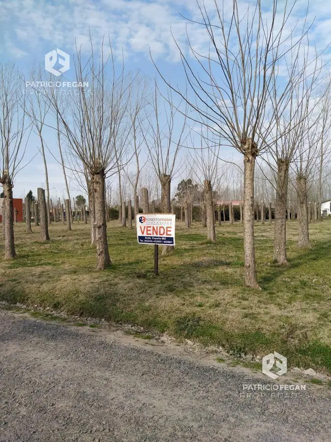 Terreno - General Belgrano 3