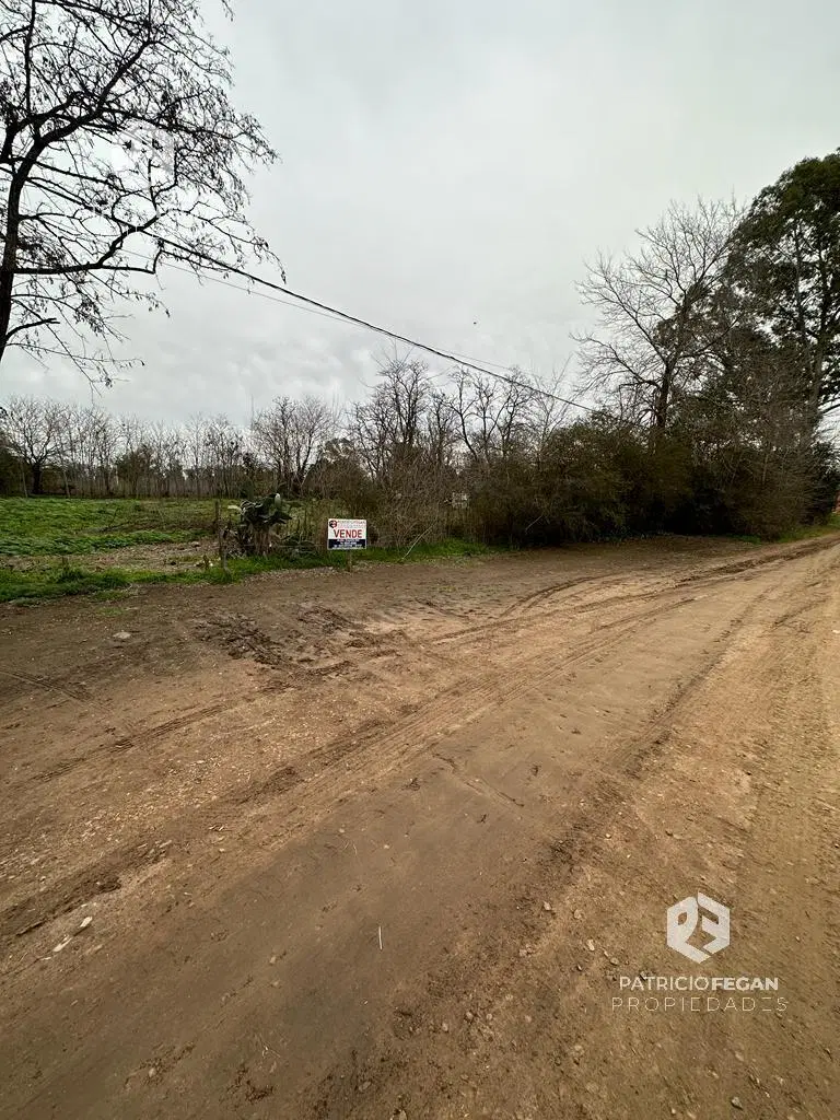 Terreno - General Belgrano 2