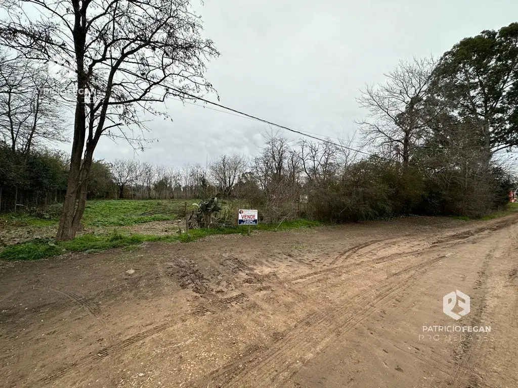 Terreno - General Belgrano 1