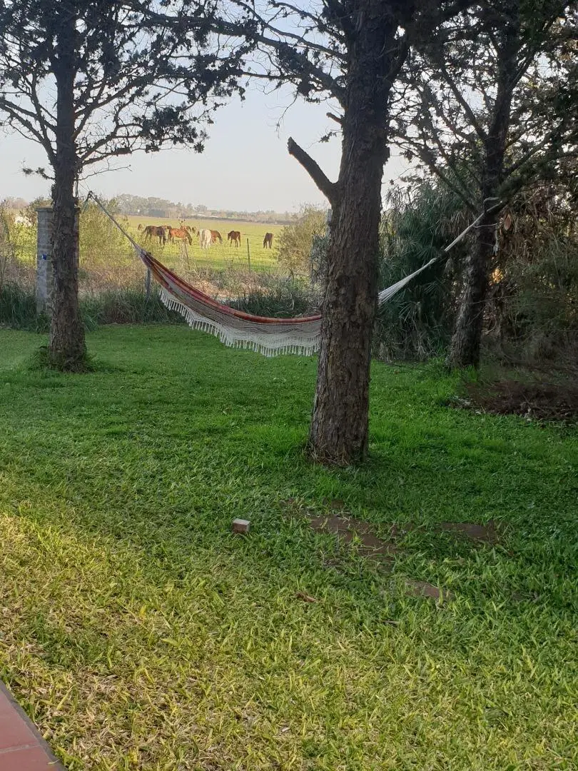 casa con jardin y pileta 8