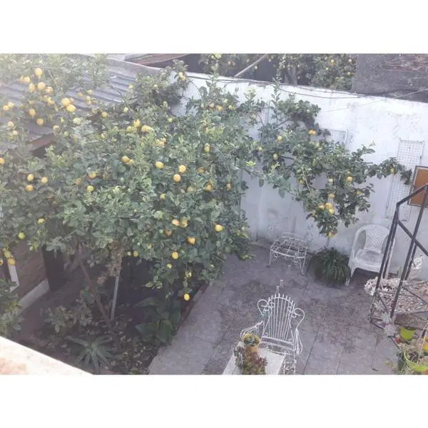 ROSARIO - CASA 2 PLANTAS 2