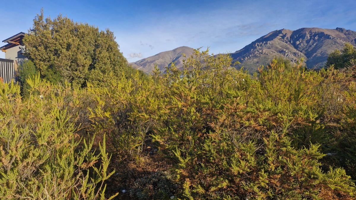 LOTE VALLE AZUL sobre calle Cascada Vulliñanco, con hermosa vista a lo cerros.-
