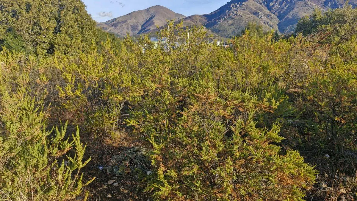 LOTE VALLE AZUL sobre calle Cascada Vulliñanco, con hermosa vista a lo cerros.- 3