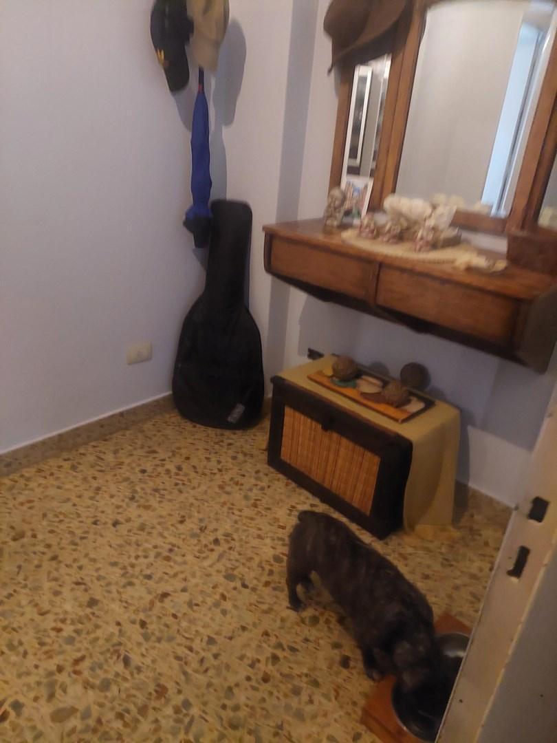 Foto de Departamento PH en Venta en Villa Luro, Capital Federal, Buenos Aires, imagen 3