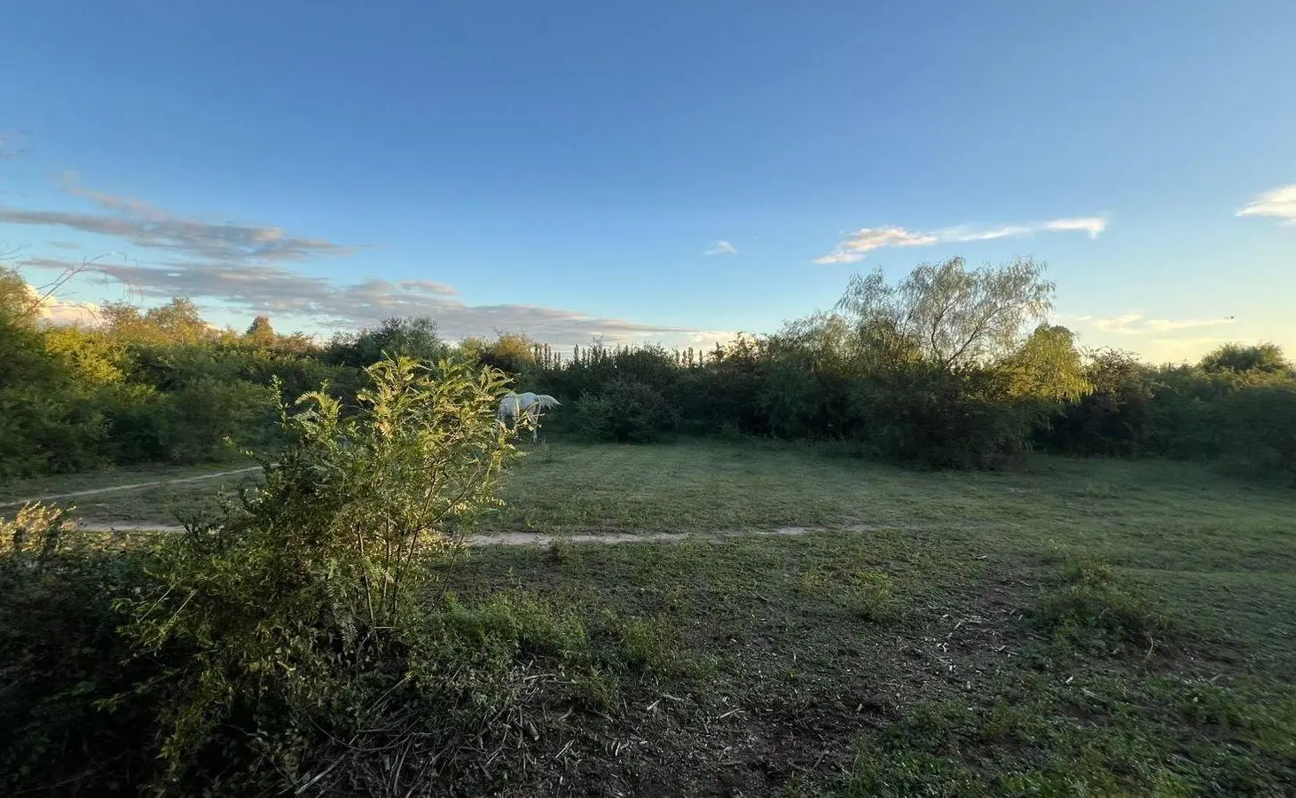 Lotes en venta B° 9 de Julio Villa Dolores 2