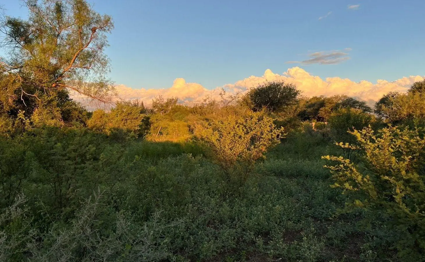 Lotes en venta B° 9 de Julio Villa Dolores 8
