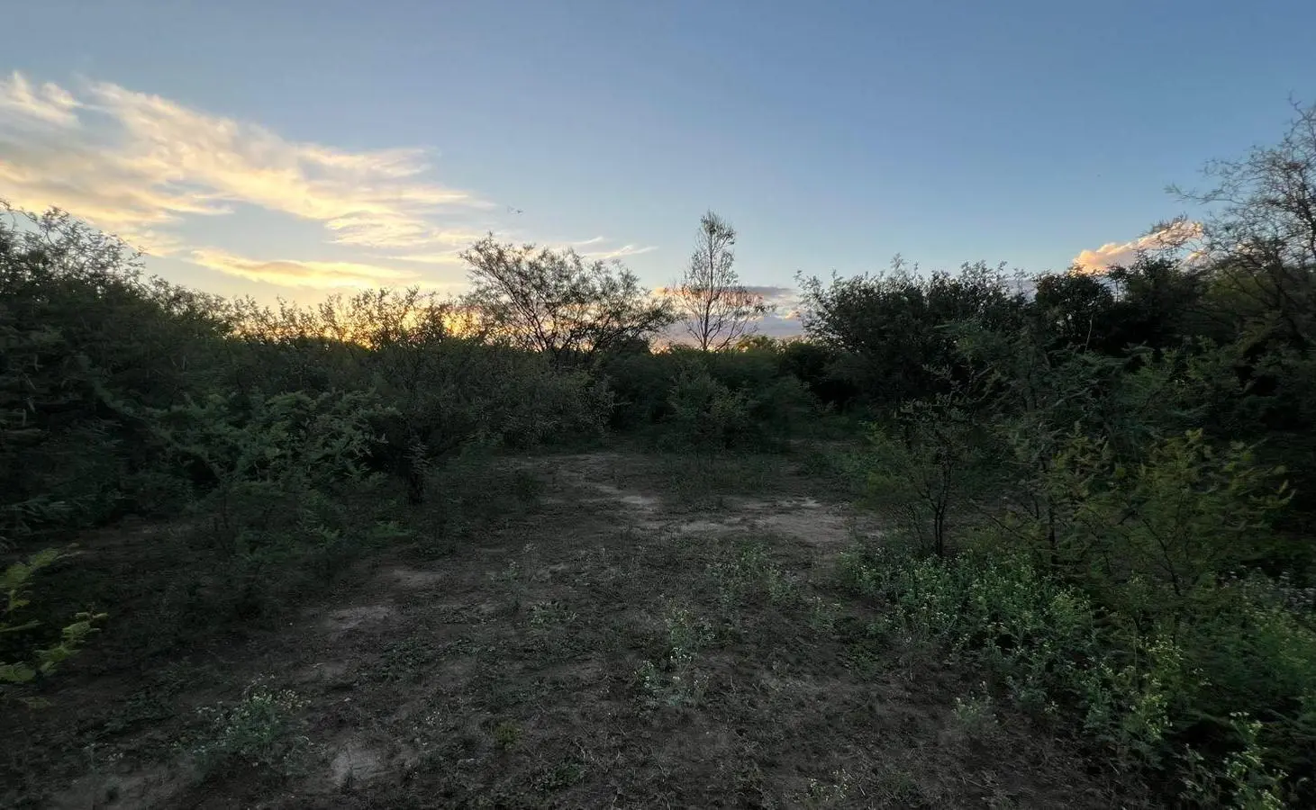 Lotes en venta B° 9 de Julio Villa Dolores 5