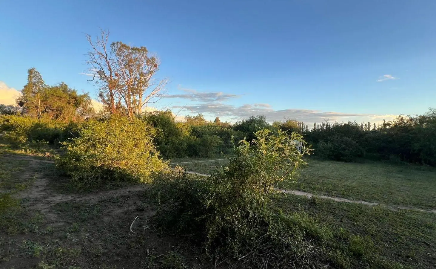 Lotes en venta B° 9 de Julio Villa Dolores 3
