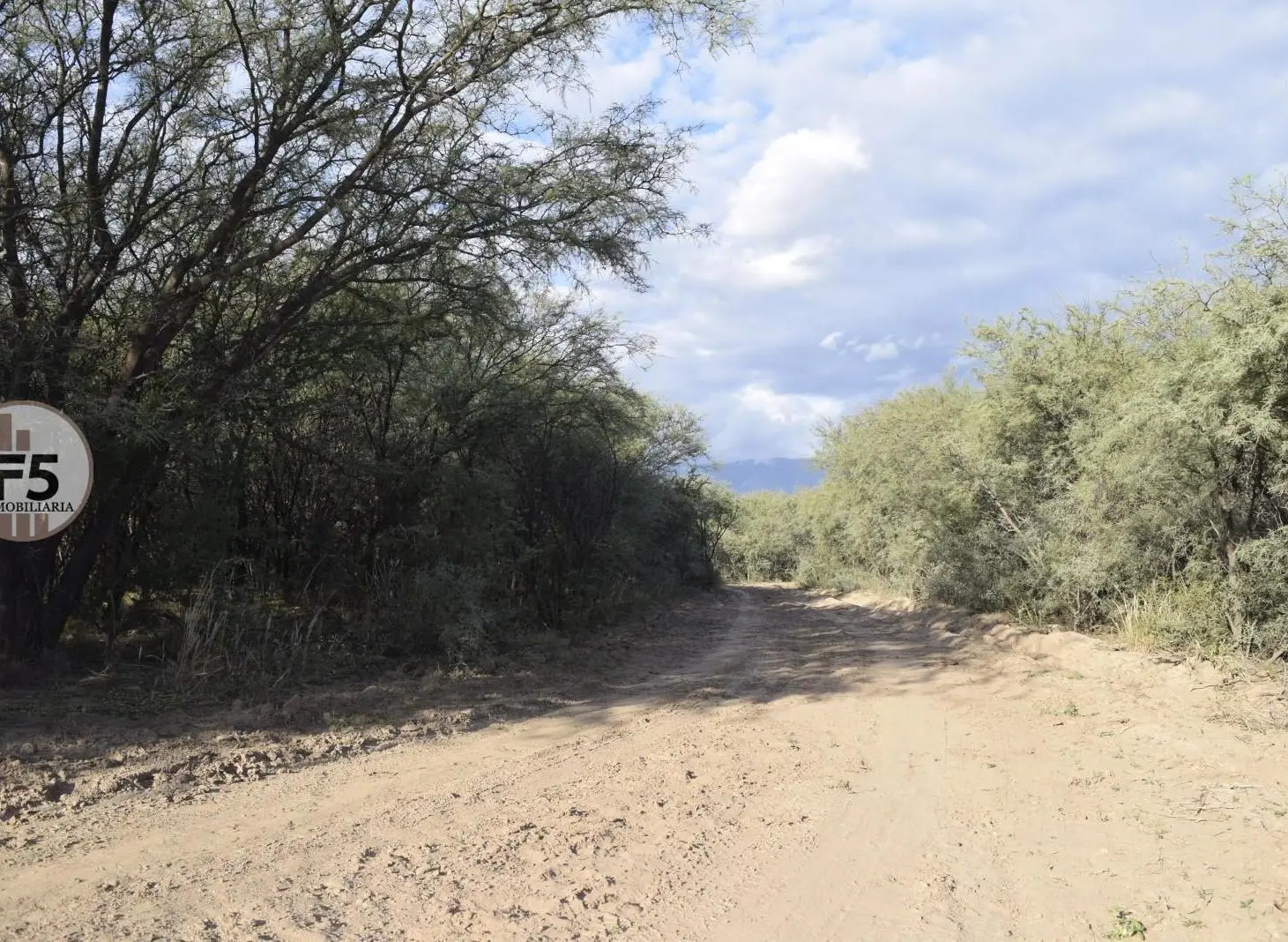 Lotes en venta desde 1 hectárea con agua Luyaba Traslasierra 5