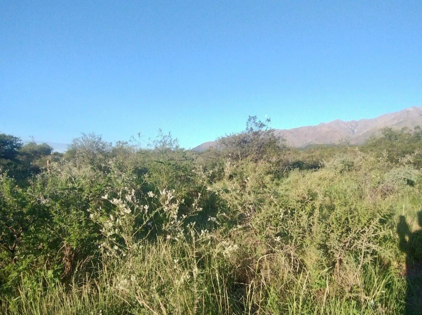 Lotes en venta con servicios San Javier Traslasierra Córdoba 5