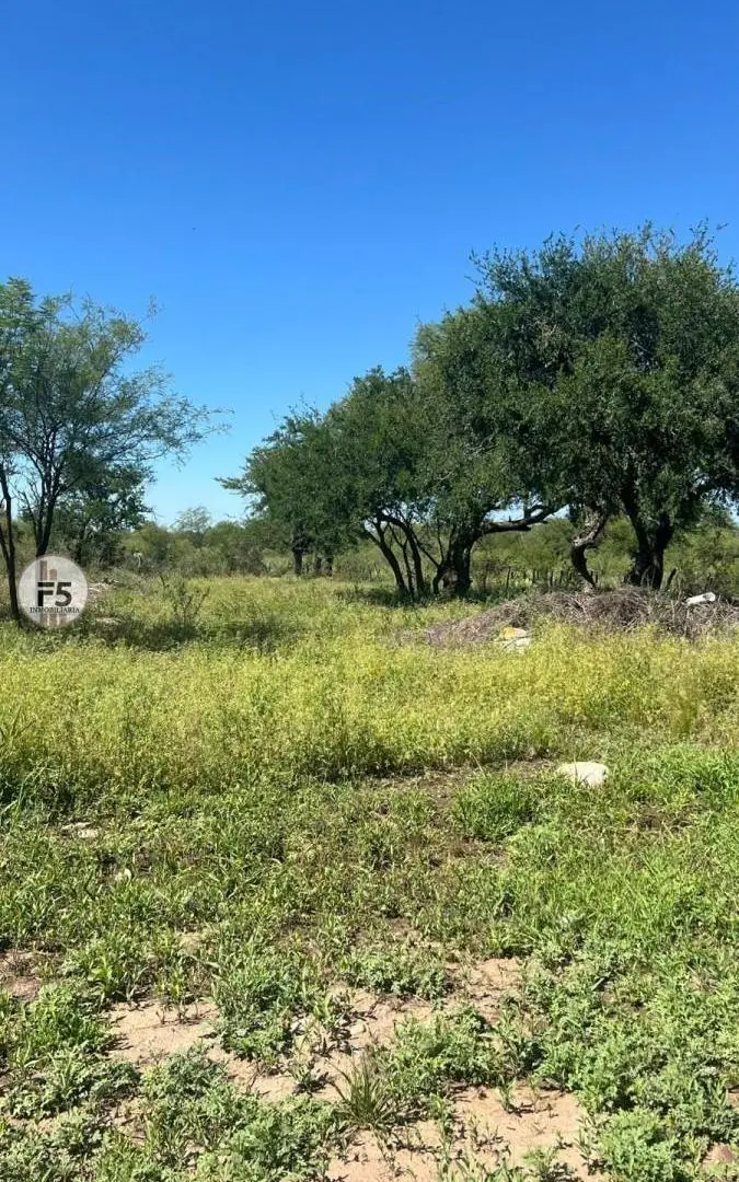 Lotes con servicios en venta Las Tapias Traslasierra 2