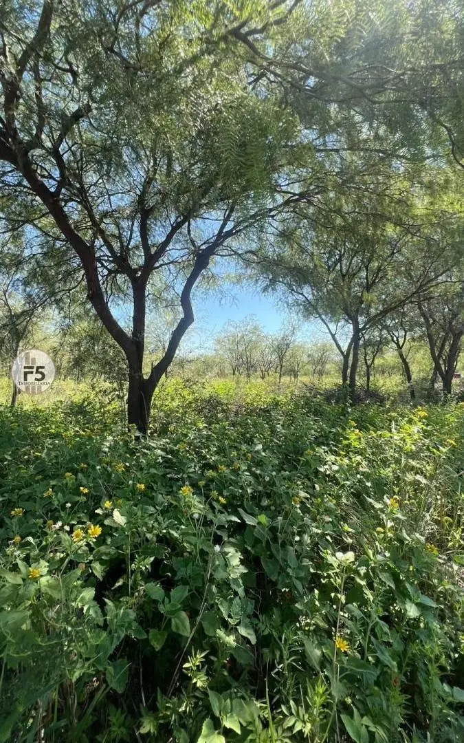 Lotes con servicios en venta Las Tapias Traslasierra 6