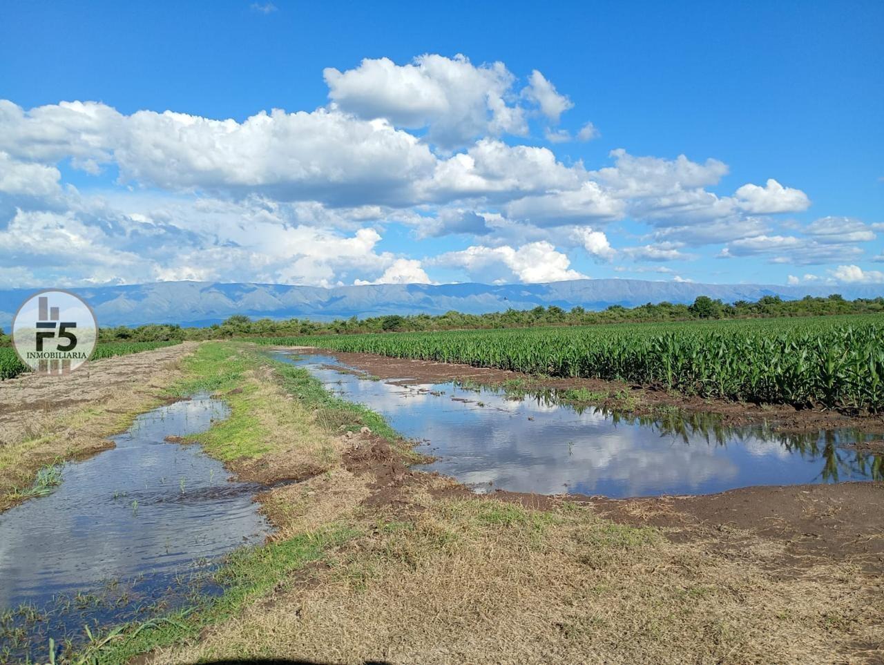 Foto de Venta de Campo en Los Romeros, imagen 5