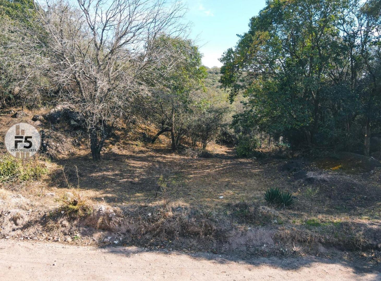 Foto de VENTA DE LOTE EN AGUA DE ORO, imagen 1
