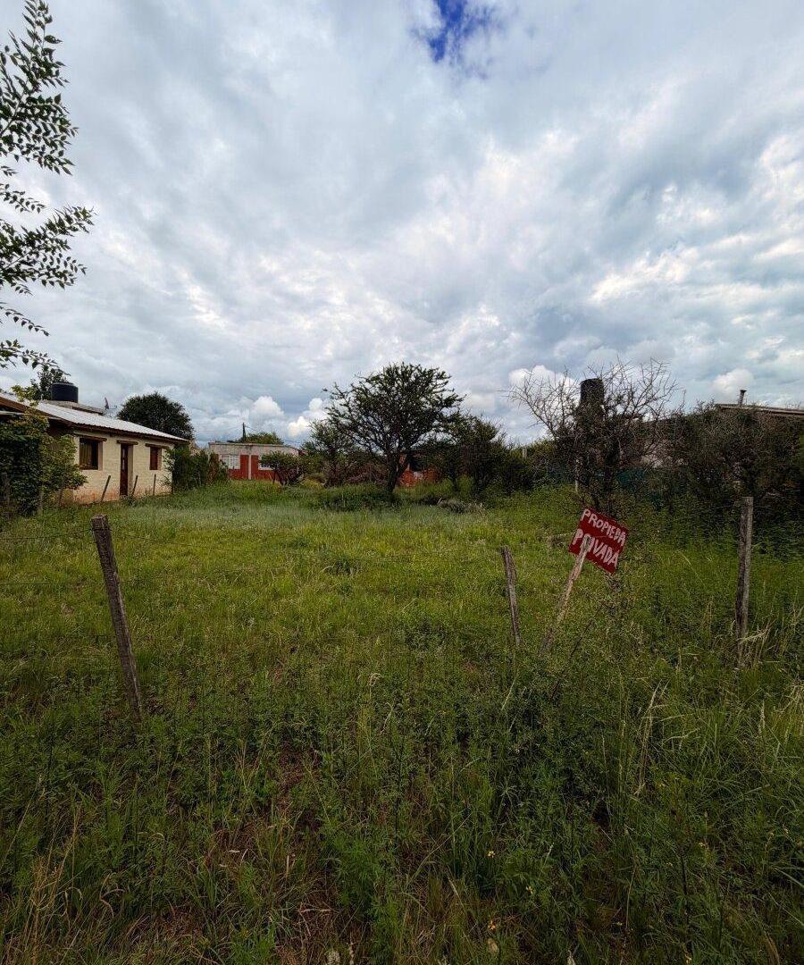 Foto de Venta de Lote en Panaholma, imagen 5