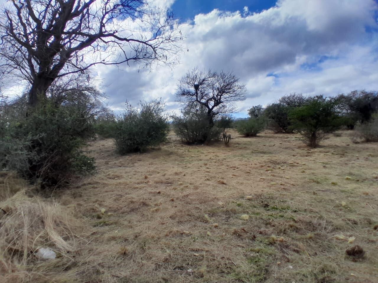 Foto de Venta de Lote en Arroyo de los Patos, imagen 1