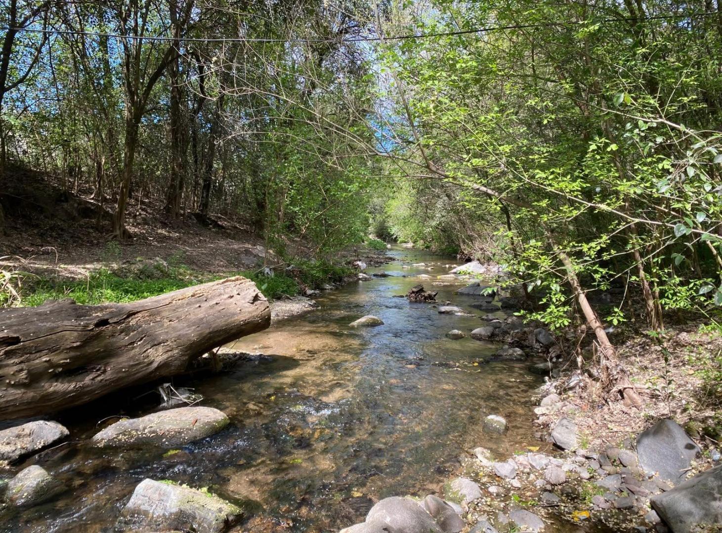 Foto de VENTA Lote en Salsipuedes una hectárea a un precio IMPERDIBLE!, imagen 3