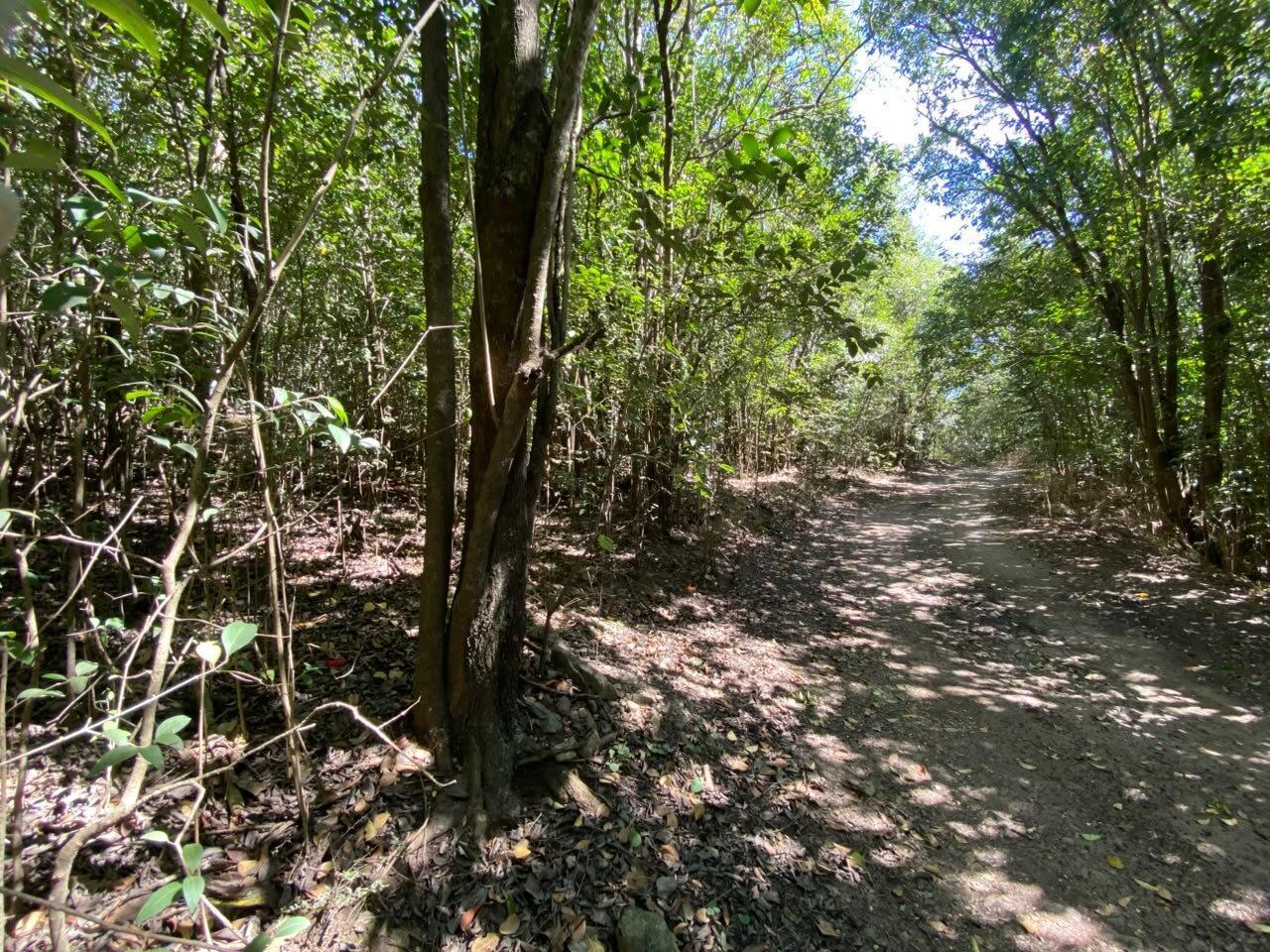 Foto de VENTA Lote en Salsipuedes una hectárea a un precio IMPERDIBLE!, imagen 5