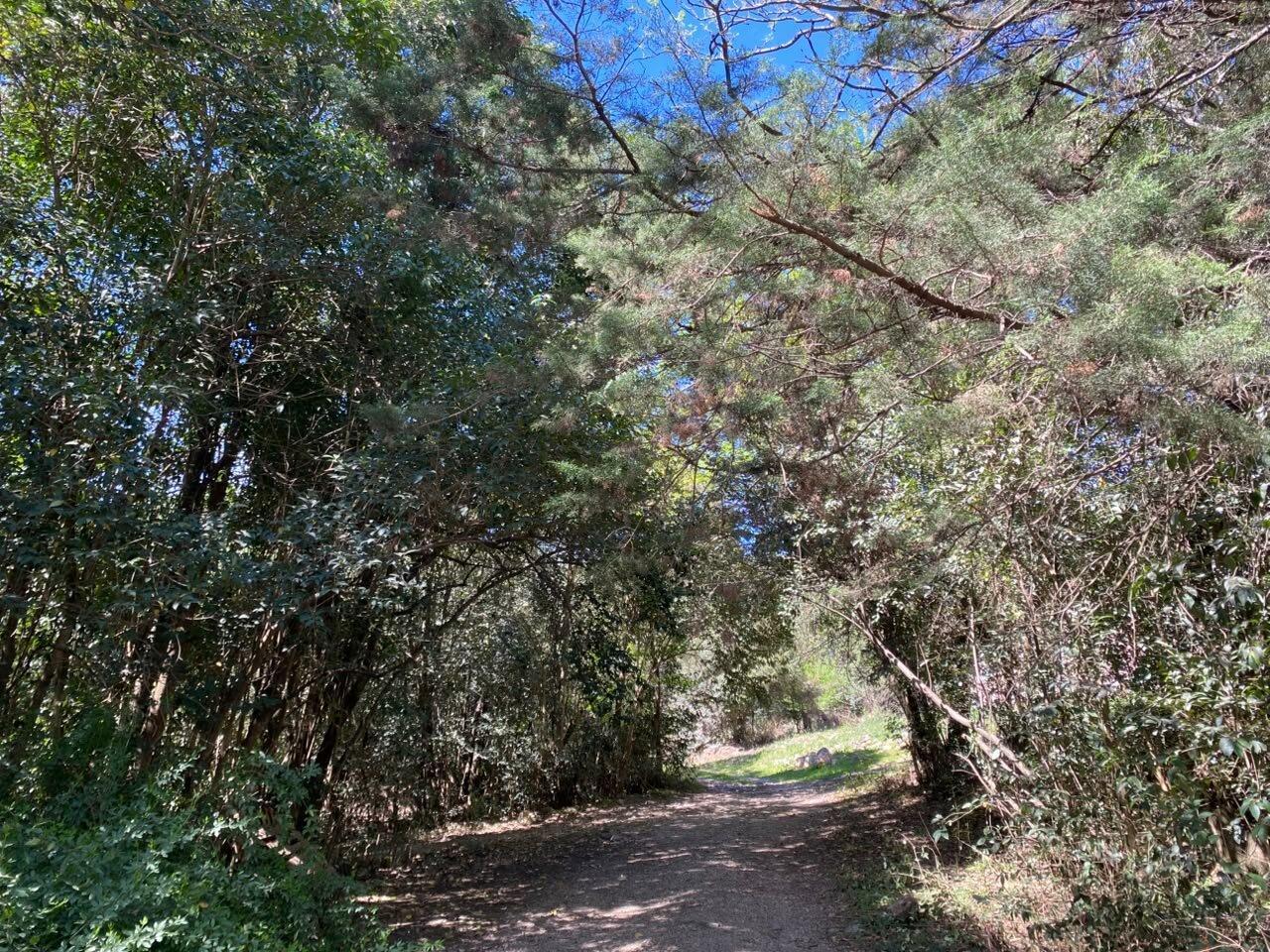 Foto de VENTA Lote en Salsipuedes una hectárea a un precio IMPERDIBLE!, imagen 4