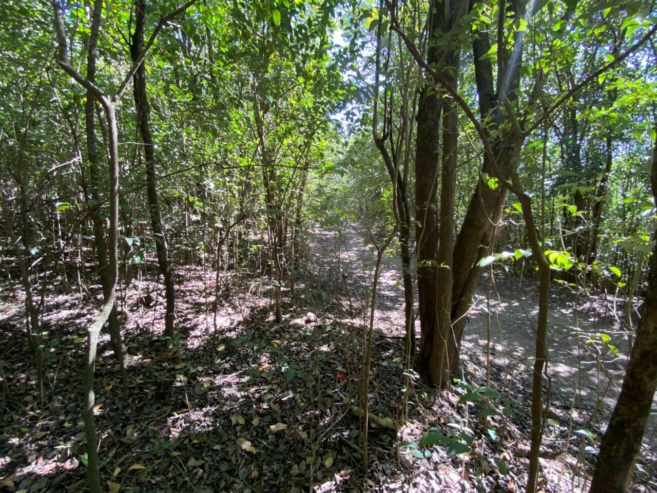 Foto de VENTA Lote en Salsipuedes una hectárea a un precio IMPERDIBLE!, imagen 2