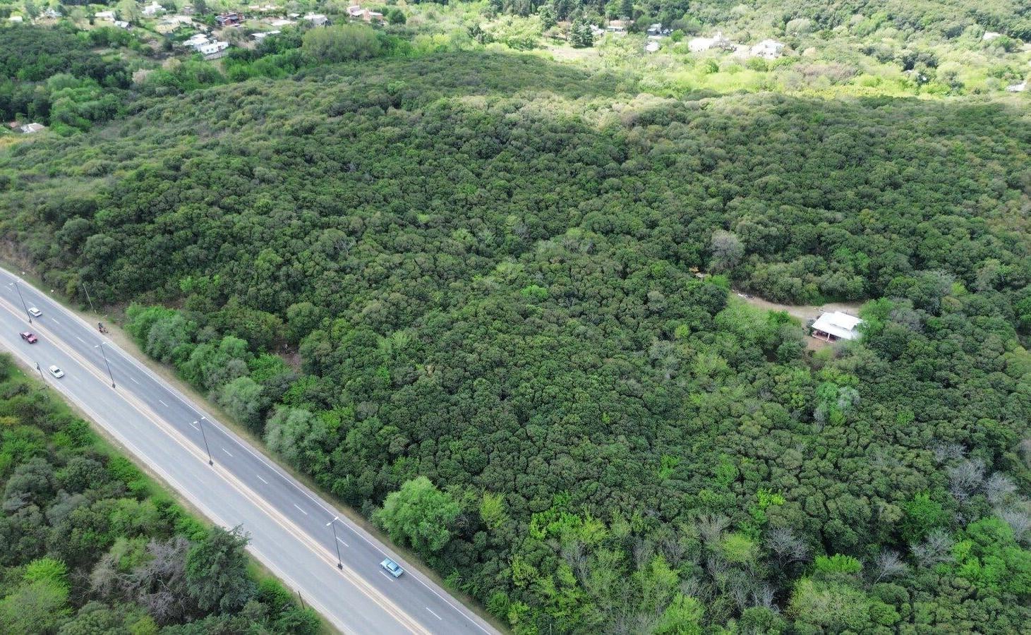 Foto de VENTA Lote en Salsipuedes, sobre ruta E53!!!, imagen 5