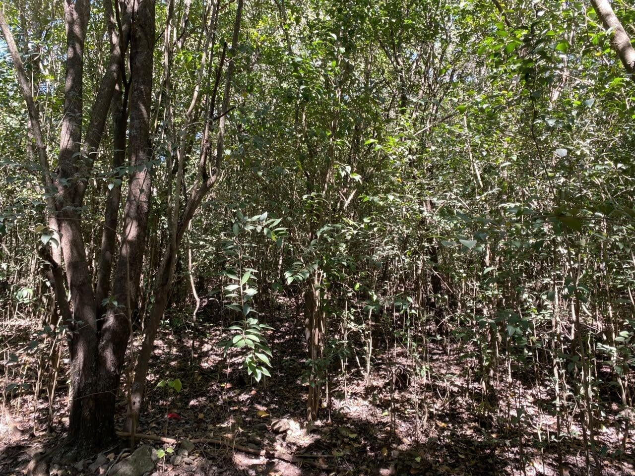 Foto de VENTA Lote en Salsipuedes, sobre ruta E53!!!, imagen 4