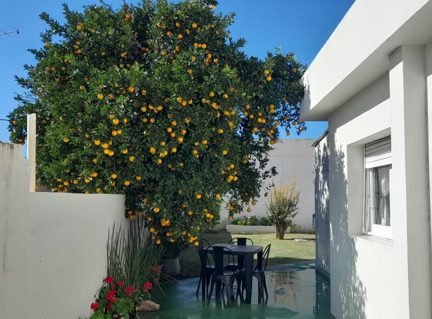 Foto de Venta de Casa en Rio Ceballos, imagen 4