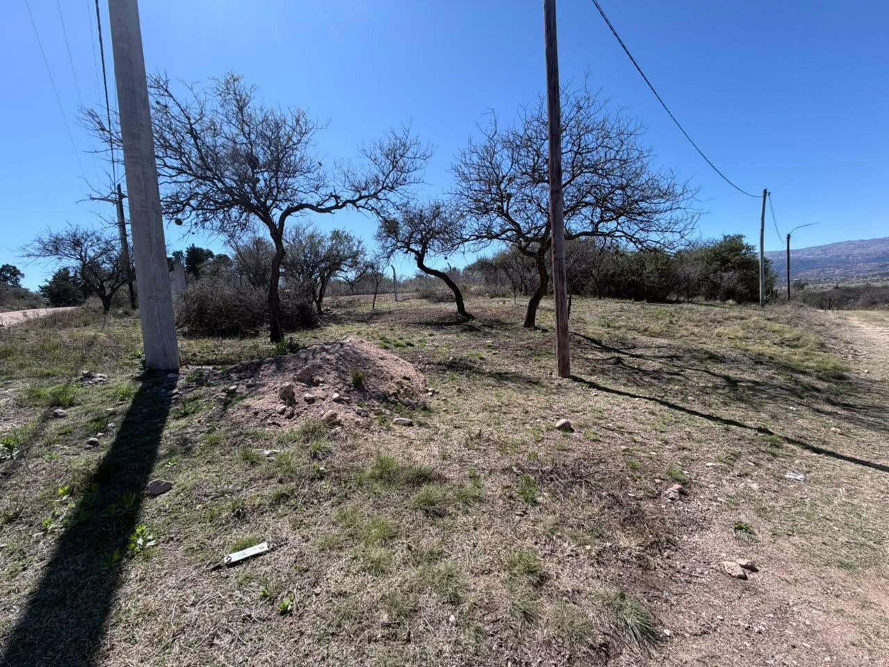 Foto de Venta de Lote en Villa Cura Brochero, imagen 4