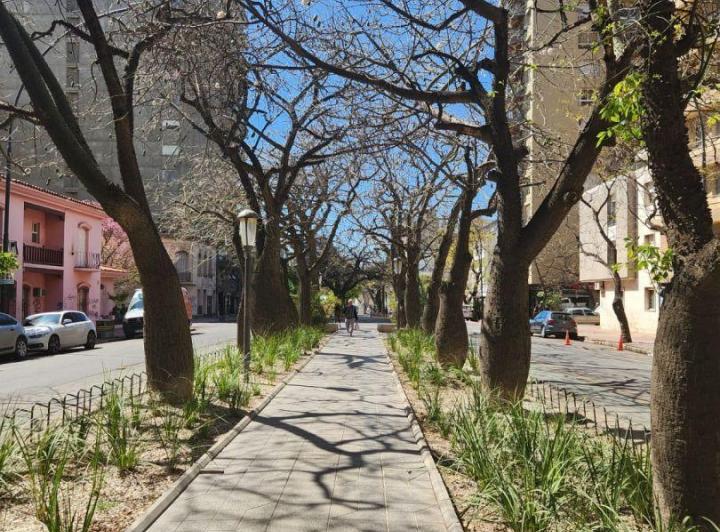 Departamento en Alquiler - Nueva Córdoba 4