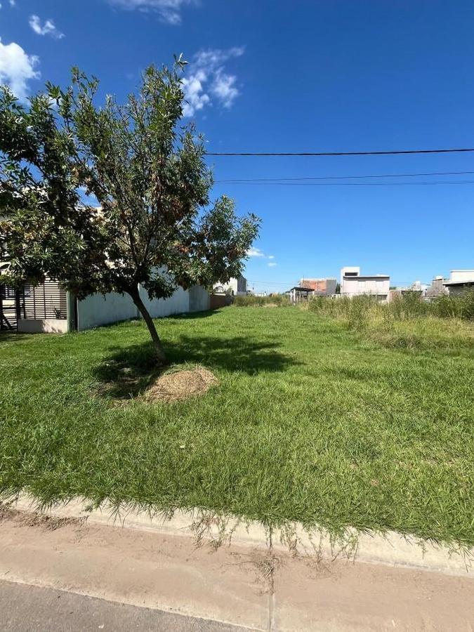 Foto de terreno Granadero Baigorria, imagen 5