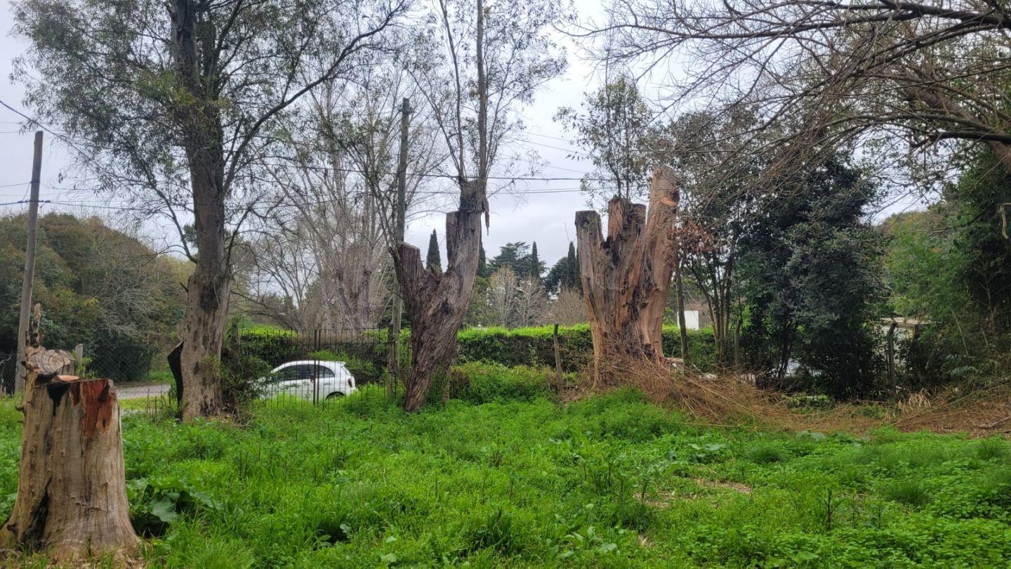 Foto de Lote . | Calle 422 esquina 29 al 000, imagen 1
