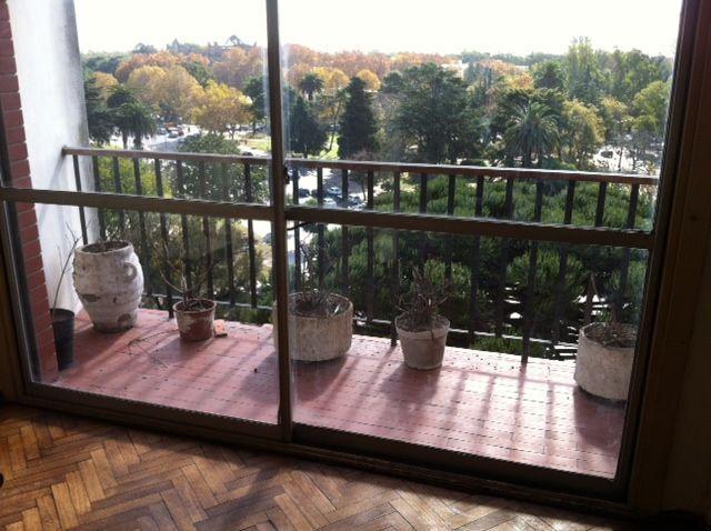 Foto de vista al bosque, imagen 2
