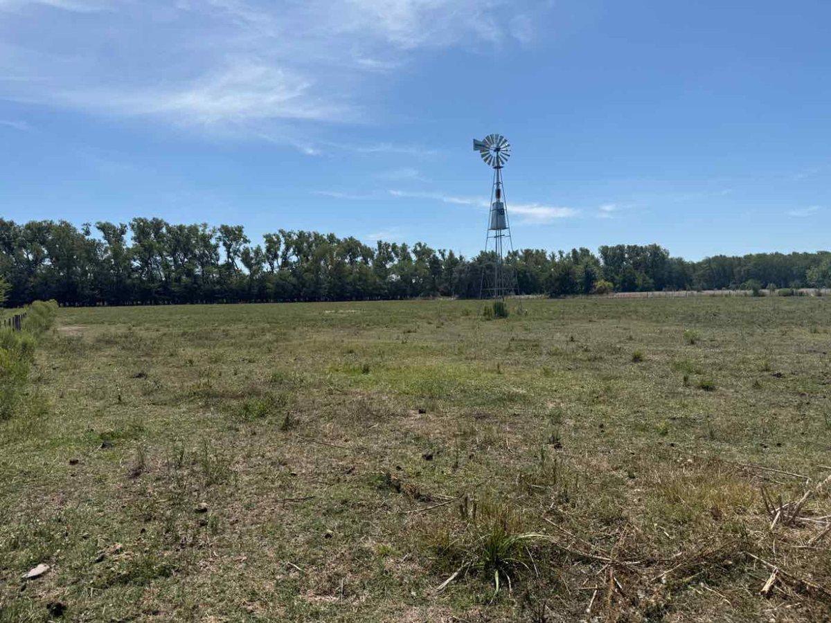 Terreno Chacra Venta Estancia Benquerencia Monte