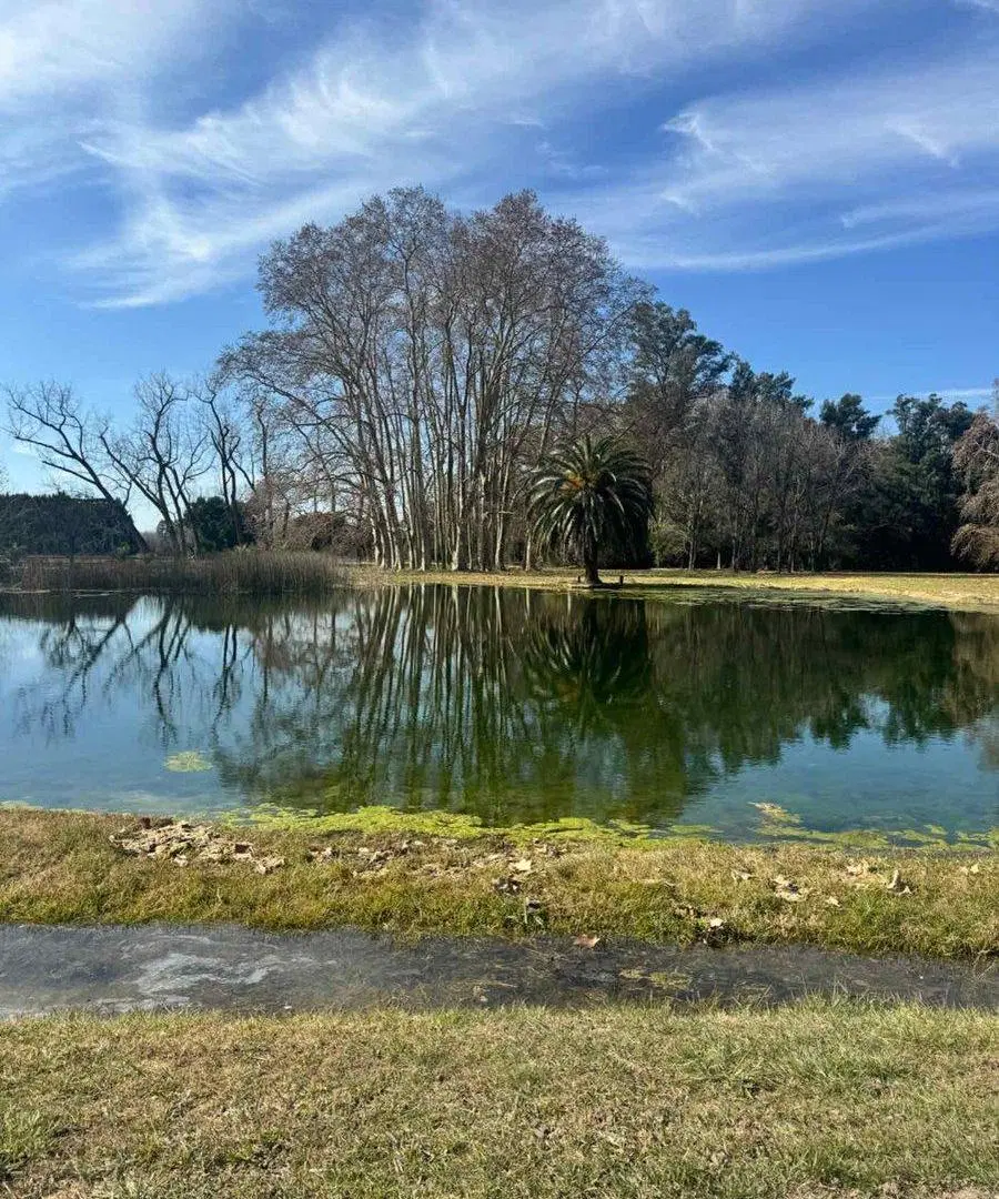 Terreno Chacra Venta Estancia Benquerencia Monte 2