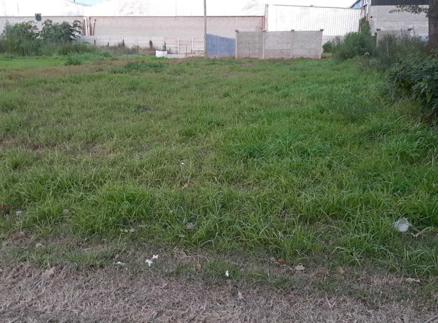 VENTA LOTE MERLO 8