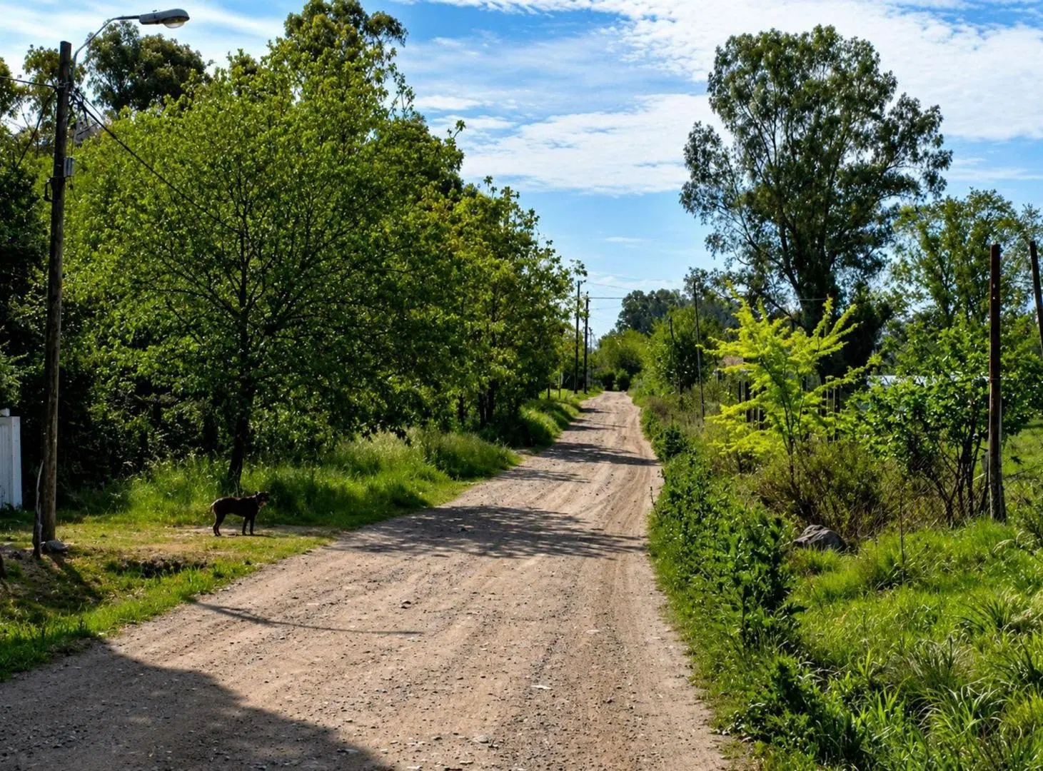 VENTA LOTE VIRREY DEL PINO 3