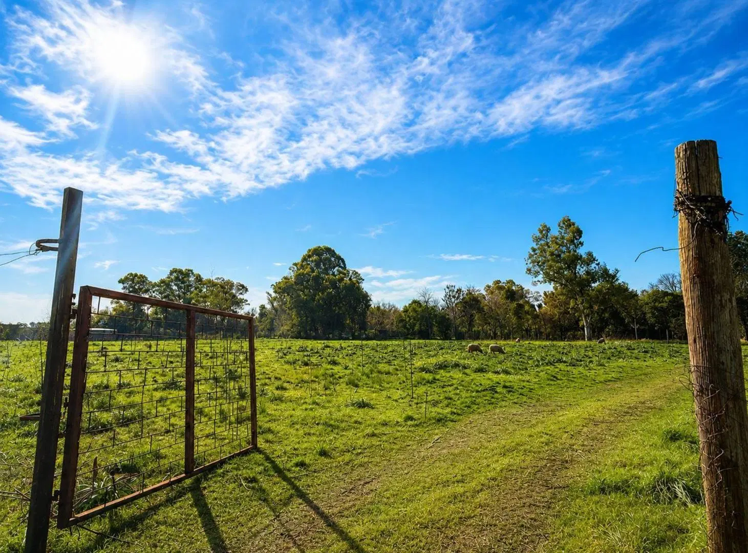 VENTA LOTE VIRREY DEL PINO 2