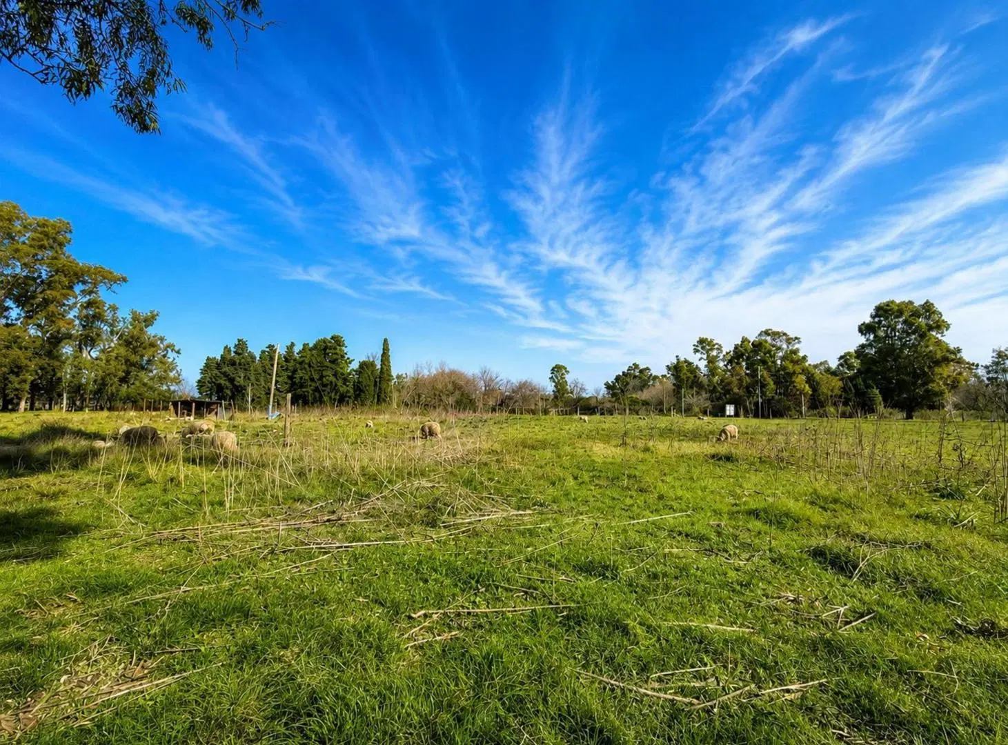 VENTA LOTE VIRREY DEL PINO 4