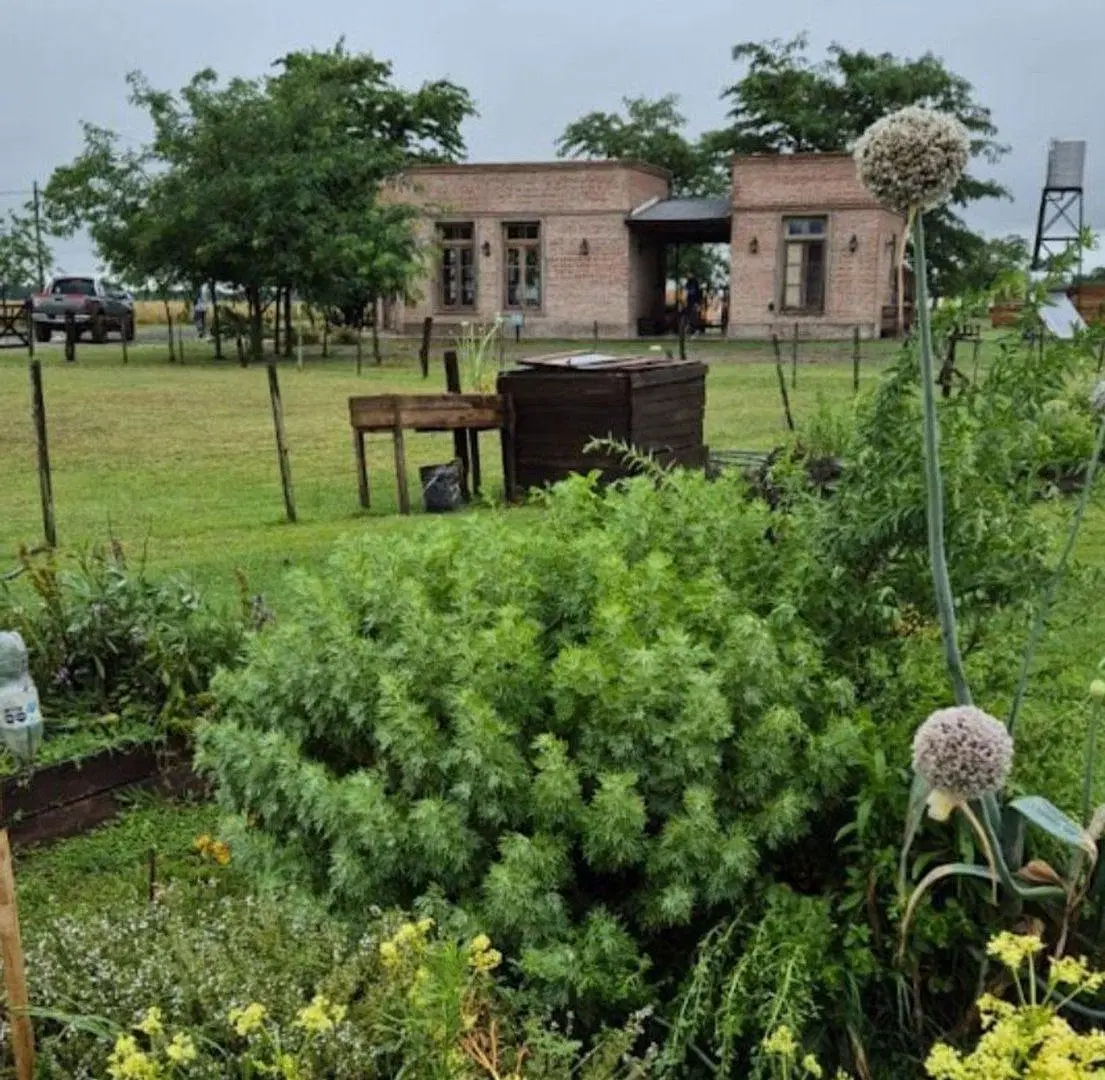 LOTE  VENTA SAN VICENTE 5000 M2 (MEDIA CUADRA) 4