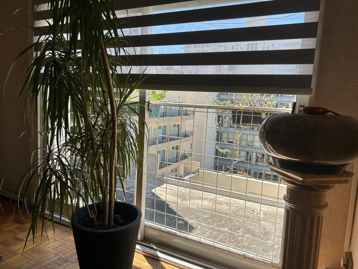 Foto de Departamento 3 Ambientes Venta San Telmo, imagen 2