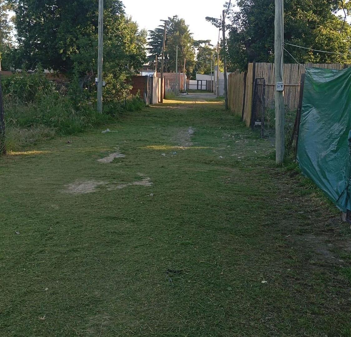 Foto de VENTA LOTE MERLO, imagen 5