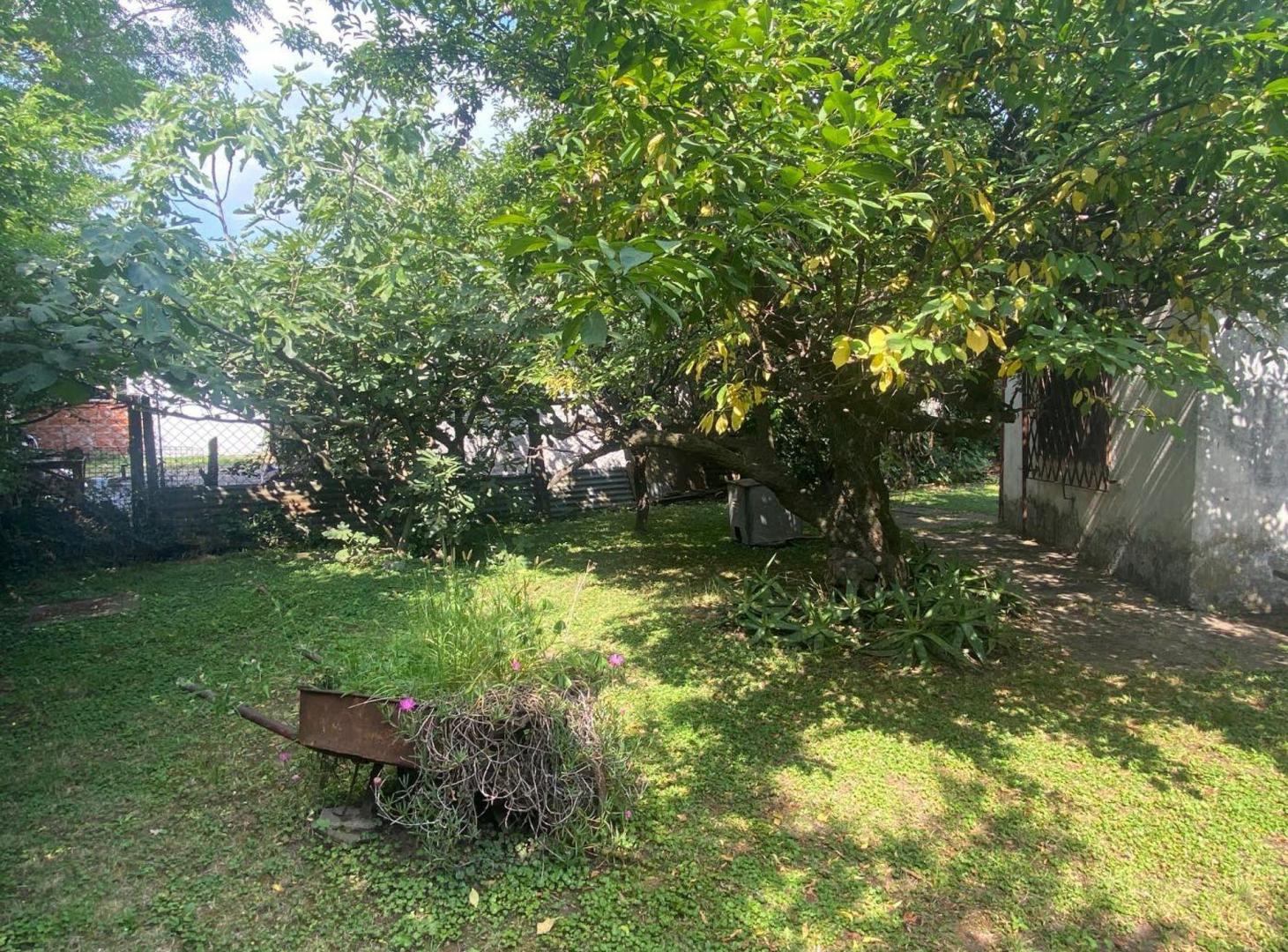 Foto de VENTA CASA 4 AMBIENTES CON LOCAL GONZÁLEZ CATÁN, imagen 3