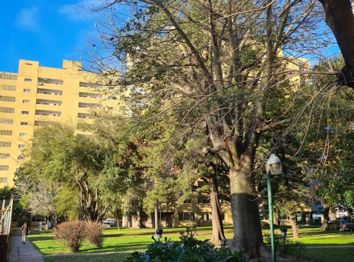 Foto de VENTA DEPARTAMENTO 3 AMBIENTES - TAPIALES, imagen 1